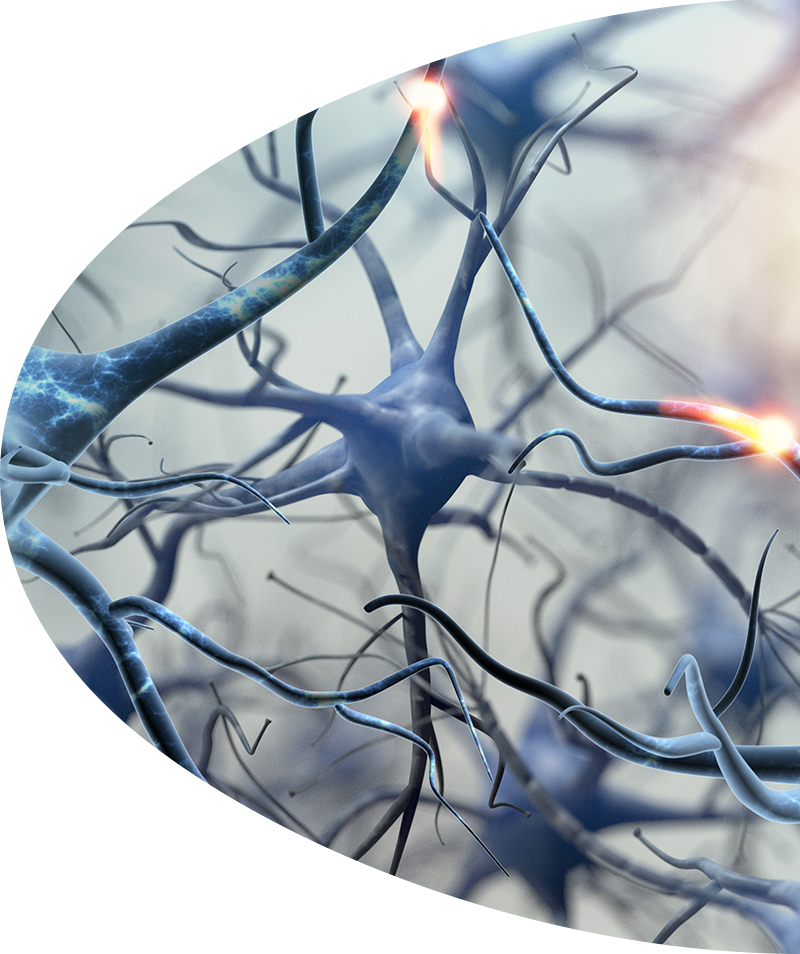 external innovation brain